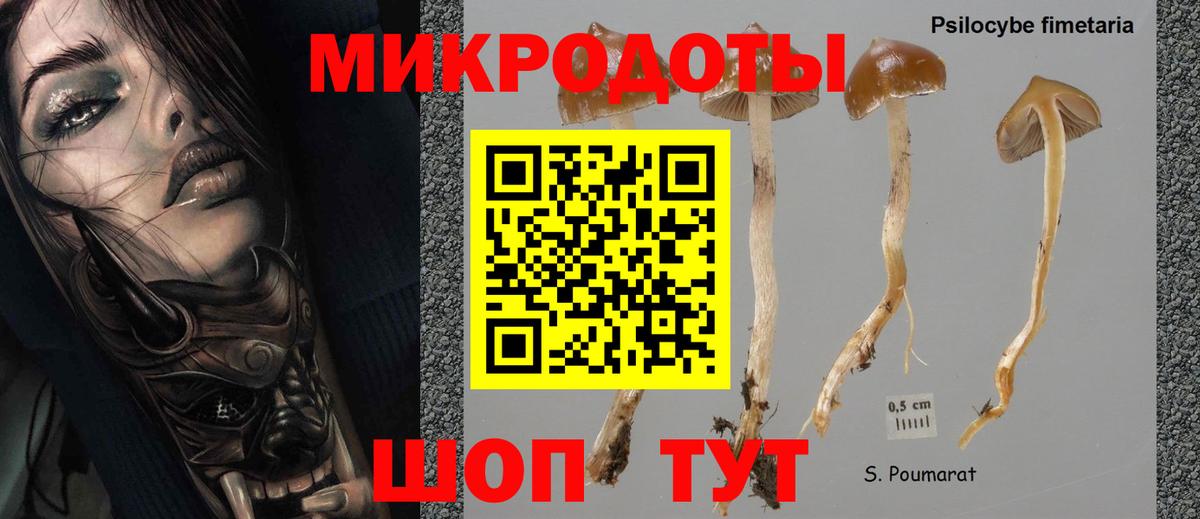 хочу наркоту  Псилоцибиновые грибы Cubensis  Вход с VPN  Бугуруслан 